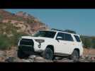 Vido 2019 Toyota TRD Pro Film