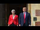 Trump and May meet at Chequers amid Brexit storm