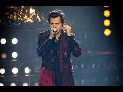 Harry Styles helps fan come out during concert