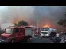 Deadly fires rage across Greece - Label : AFPTV - First images - Category : News
