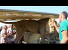 LION breaks into tourist vehicle on Crimea safari tour