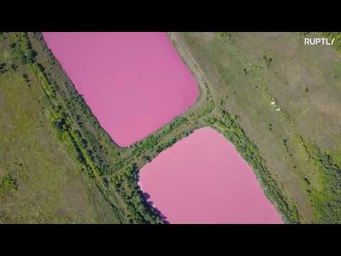 Reservoirs in Samara mysteriously turn pink