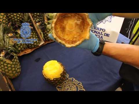 Spanish police in pineapple cocaine bust