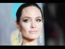 Angelina Jolie focused on family