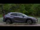 Vido The new Lexus UX 250h Driving Video in Grey