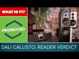 Promoted: Dali Callisto: What Hi-Fi? readers give their verdict