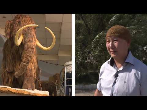 A real mammoth-hair hat goes on sale for $10,000!