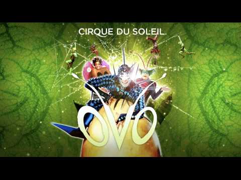 Ovo: Behind the scenes with Cirque du Soleil