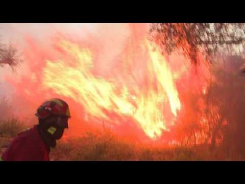 Firecrews in Spain and Portugal struggle to control wildfires