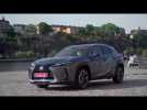 Vido The new Lexus UX 250h Design in Grey