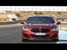 The new BMW 8 Series Coupe driving on the Racetrack