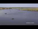 Lions suspected in drowning of 400 buffaloes in Botswana - Label : AFPTV - First images - Category : News