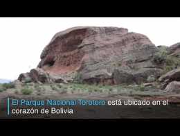 Reserva boliviana aspira a título de “geoparque” de la Unesco