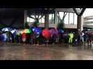 Coup-plagued Fiji goes to the polls - Label : AFPTV - First images - Category : News