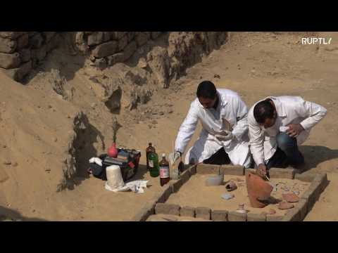 Mummified cats, scarab beetles discovered in ancient tombs near Cairo