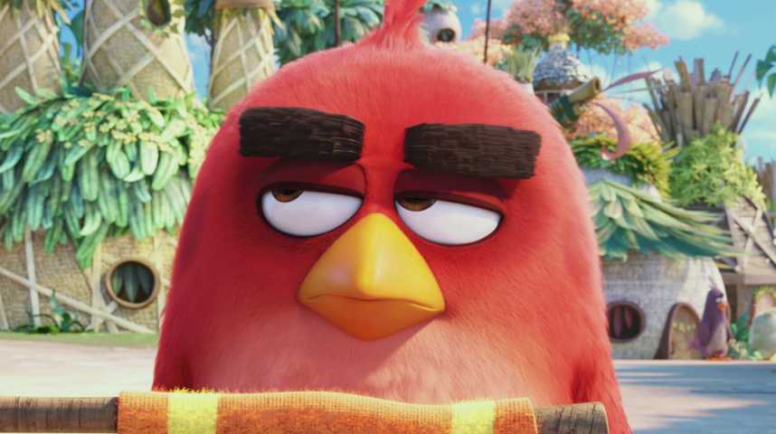 Angry Birds - Le Film - Extrait 3 - VF - (2016)