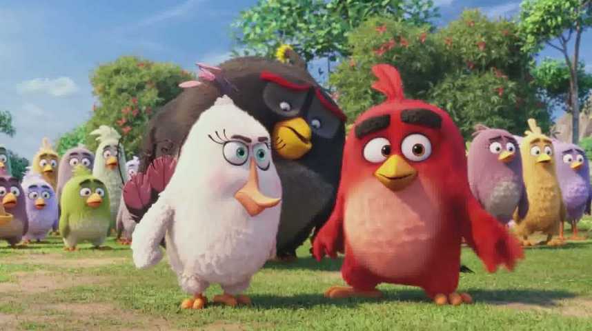 Angry Birds - Le Film - Extrait 1 - VF - (2016)
