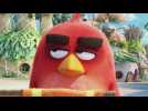 Angry Birds - Le Film - Extrait 4 - VO - (2016)