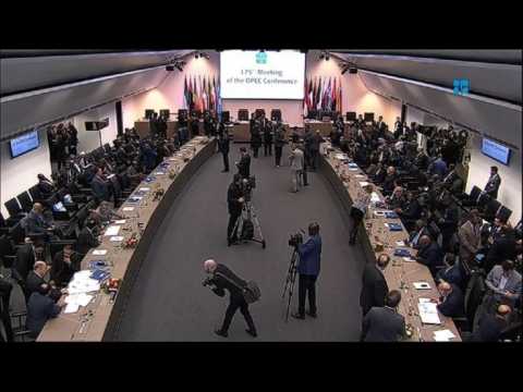 OPEC members meet in Vienna