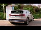 Audi e-tron in Siam Beige Charging demo