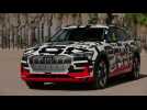 Audi e-tron Prototype Design Preview in Namibia
