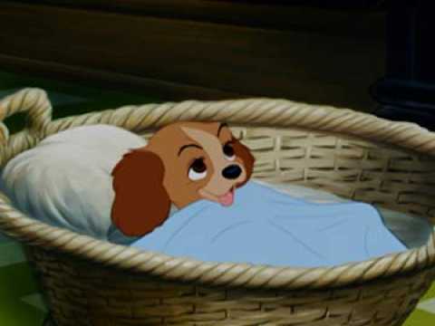 La Belle et le Clochard - Extrait 6 - VO - (1955)