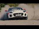 Jaguar F-TYPE Rally Car Trailer