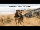 A Dog's Way Home - International Trailer - At Cinemas January 25