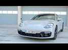 Porsche Panamera GTS Sport Turismo Exterior Design in Crayon