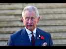 Prince Charles fears for grandkids' future