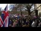 UKIP holds pro-Brexit rally in London - Label : AFPTV - First images - Category : News