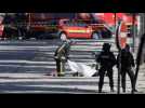 Champs-Elysees attack driver is dead: interior minister