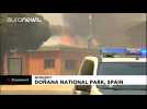 Spanish firefighters battle blaze near national park