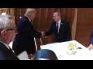 Trump, Putin in first handshake at G20 summit