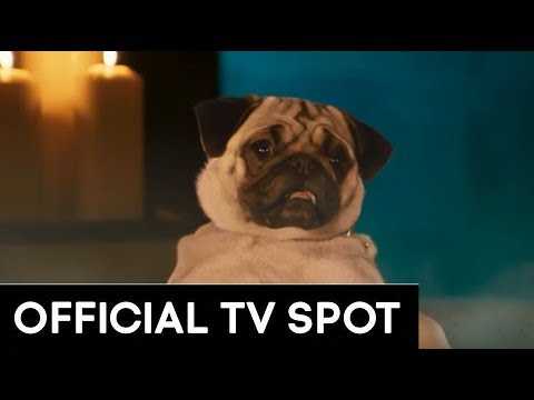 SHOW DOGS | "BARKING MAD" TV SPOT