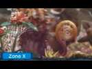 Vidéo Hey ! Pikmin - Secteur 8 : Traversée infernale Vidéo Hey ! Pikmin - Secteur 8 : Traversée infernale