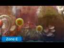 Vidéo Hey ! Pikmin - Secteur 8 : Souverain vorace Vidéo Hey ! Pikmin - Secteur 8 : Souverain vorace