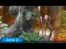Vidéo Hey ! Pikmin - Secteur 8 : Cavalerie ailée Vidéo Hey ! Pikmin - Secteur 8 : Cavalerie ailée