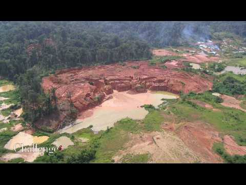 Guyane : le projet de mine "Montagne d'or" inquiète