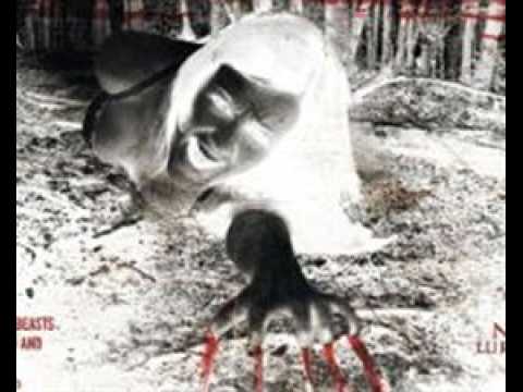 A Night in the Woods - bande annonce - VO - (2011)