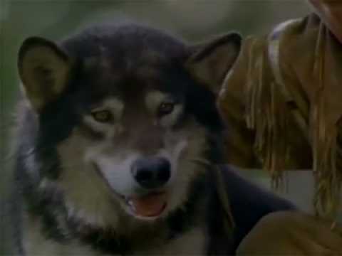 Les Nouvelles Aventures de Croc-Blanc - Bande annonce 1 - VO - (1993)