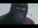 The New King Kong - Bande annonce 1 - VO - (1976)