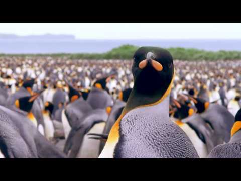 Adventures Of The Penguin King - Bande annonce 1 - VO - (2012)