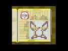 Vid�o Picross NP Vol.5 : Niveau 2 A-B