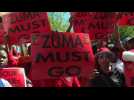 South Africa: anti-corruption protest in Johannesburg