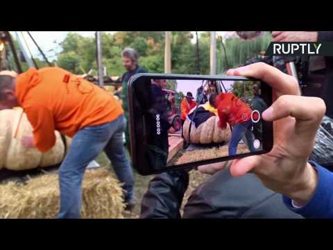 European Farmers Bring in Autumn with Giant Pumpkin Contest