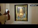 Last Da Vinci Painting in Private Hands Goes Up for Auction, Could Fetch $100m
