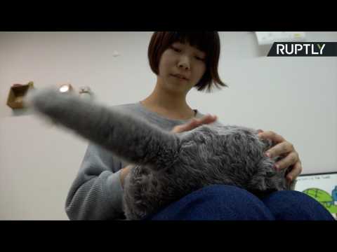 Fluffy Headless Robotic Cat is the Prrrr-fect Pillow