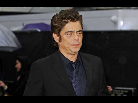 Benicio del Toro joins The Rise and Fall of the Brown Buffalo