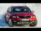 Skoda Octavia Scout driving in winter conditions